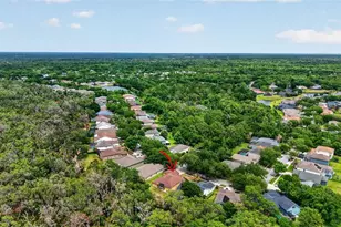 14818 Heronglen Dr, Lithia, FL 33547 - Photo 31