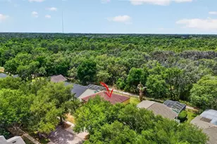 14818 Heronglen Dr, Lithia, FL 33547 - Photo 27