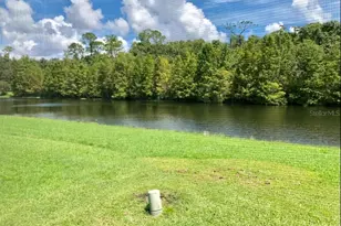 4341 Creekside Blvd, Kissimmee, FL 34746 - Photo 5