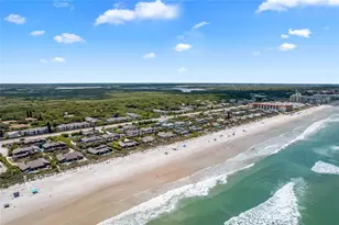 4407 Sea Mist Ct, New Smyrna Beach, FL 32169 - Photo 39