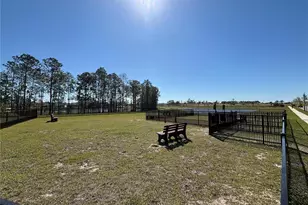 16337 Honey Harvest St, Winter Garden, FL 34787 - Photo 19