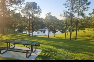 15816 Oakland Ct, Clermont, FL 34711 - Photo 47