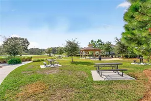 2017 Boss Hewett St, Oakland, FL 34787 - Photo 43
