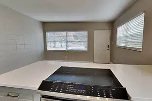 313 S Lawsona Blvd, Orlando, FL 32801 - Photo 11