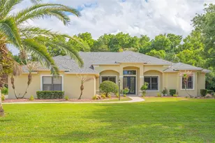 744 Barrows Dairy Rd, Port Orange, FL 32127 - Photo 83