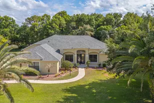 744 Barrows Dairy Rd, Port Orange, FL 32127 - Photo 69