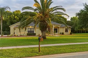 744 Barrows Dairy Rd, Port Orange, FL 32127 - Photo 65
