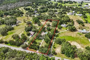 17877 Phil C Peters Rd, Winter Garden, FL 34787 - Photo 3