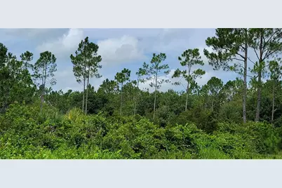 Nw 268th Street, Okeechobee, FL 34972 - Photo 11