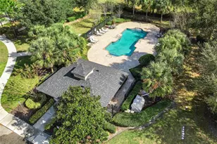 7174 Beek St, Windermere, FL 34786 - Photo 41