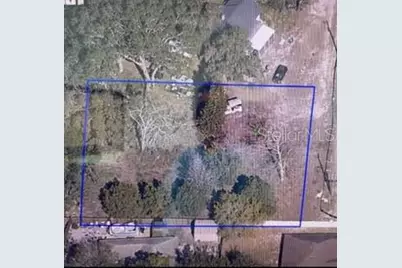 2668 Orange Branch Road, Eustis, FL 32726 - Photo 3