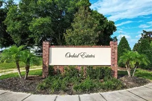 4318 Tigris Dr, Apopka, FL 32712 - Photo 41