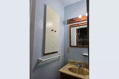 1428 Dann Street, Orlando, FL 32804 - Photo 15