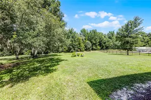 31936 Geoff Wy, Sorrento, FL 32776 - Photo 29