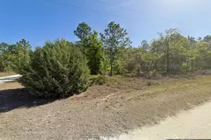 15480 Cliff Swallow Rd, Brooksville, FL 34614 - Photo 1