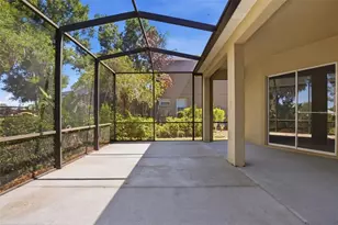 4745 Patagonia Pl, Land O Lakes, FL 34638 - Photo 41
