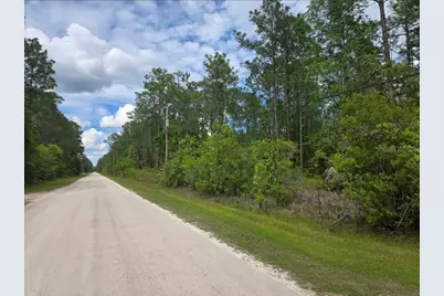 1747 Candleberry Street, Bunnell, FL 32110 - Photo 1