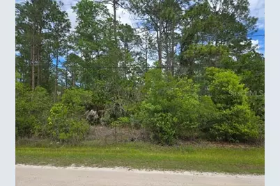 1747 Candleberry Street, Bunnell, FL 32110 - Photo 5