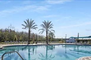 [Address not provided], Orlando, FL 32832 - Photo 19