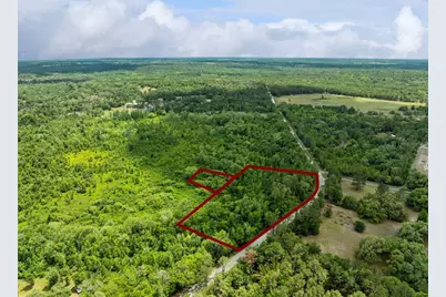 Culbreath Road, Brooksville, FL 34602 - Photo 3