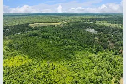 Culbreath Road, Brooksville, FL 34602 - Photo 15