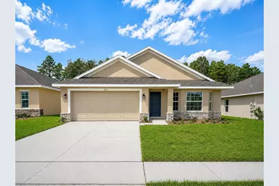 255 Verny Grove Lane, Leesburg, FL 34748 - Photo 1