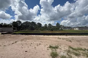 17412 Honeybell Tangelo Ct, Winter Garden, FL 34787 - Photo 61