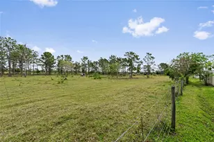 799 Hitch Loop, Saint Cloud, FL 34772 - Photo 31