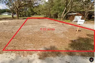 13679 SW 102nd Pl, Dunnellon, FL 34432 - Photo 1