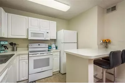 4107 Chatham Oak Court #313, Tampa, FL 33624 - Photo 5