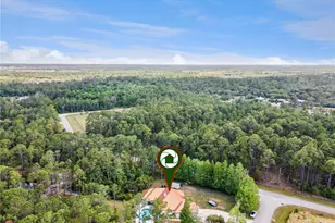 225 Limpkin Ln, Frostproof, FL 33843 - Photo 47