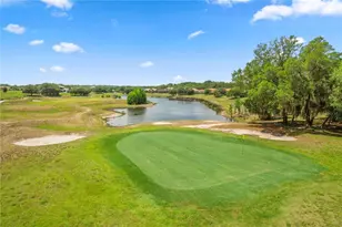 25863 Crossings Bluff Ln, Sorrento, FL 32776 - Photo 67