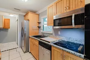 2009 Peppertree Ct, Oldsmar, FL 34677 - Photo 45