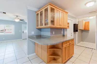 2009 Peppertree Court, Oldsmar, FL 34677 - Photo 41