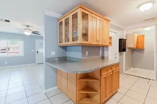 2009 Peppertree Ct, Oldsmar, FL 34677 - Photo 41