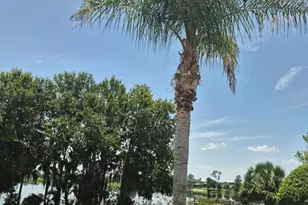 389 Nolane Ln, Polk City, FL 33868 - Photo 15