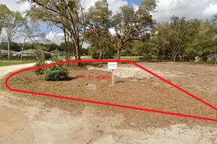13691 SW 102nd Pl, Dunnellon, FL 34432 - Photo 1