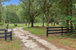 13250 NW 160th Ave, Morriston, FL 32668 - Photo 13