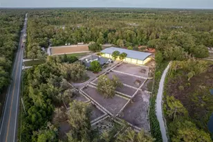 3287 N County Rd 426, Geneva, FL 32732 - Photo 41