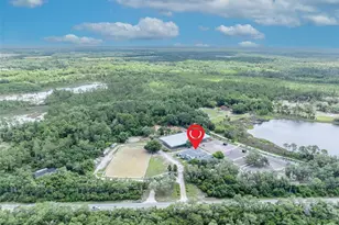 3287 N County Rd 426, Geneva, FL 32732 - Photo 39