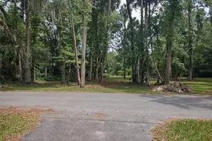 56508 Blue Creek Rd, Astor, FL 32102 - Photo 51