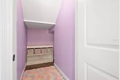 12991 Payton Street, Odessa, FL 33556 - Photo 29