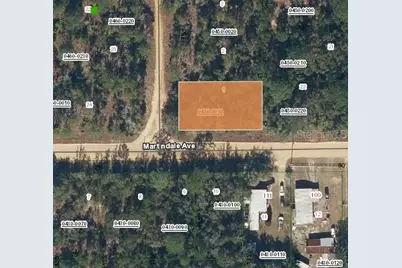 Lot 1 Martinedale Avenue, Interlachen, FL 32148 - Photo 1