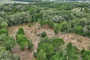 650 NE 200th Ave, Williston, FL 32696 - Photo 13