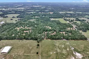 650 NE 200th Ave, Williston, FL 32696 - Photo 5
