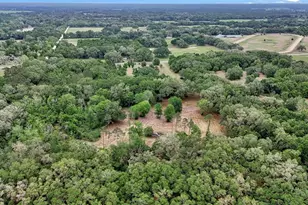 650 NE 200th Ave, Williston, FL 32696 - Photo 15