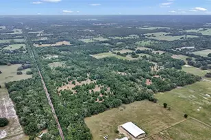 650 NE 200th Ave, Williston, FL 32696 - Photo 3