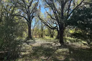 650 NE 200th Ave, Williston, FL 32696 - Photo 23