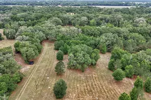 650 NE 200th Ave, Williston, FL 32696 - Photo 11