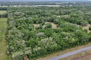 650 NE 200th Ave, Williston, FL 32696 - Photo 9